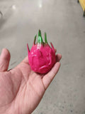 Crunchy DragonFruit Squishy
